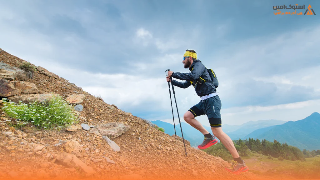 سیستم کاهش لرزش