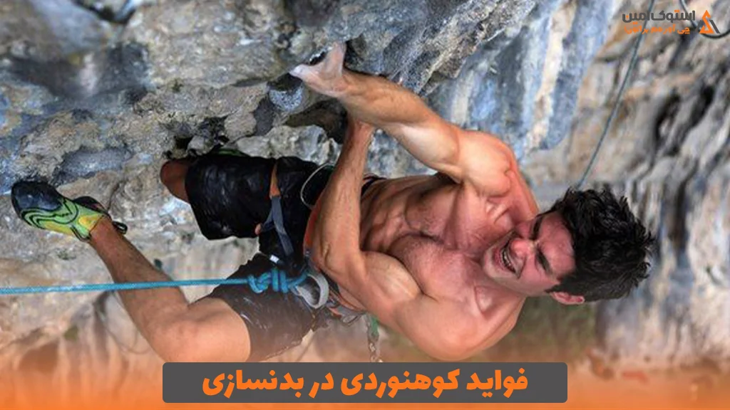 فواید کوهنوردی در بدنسازی