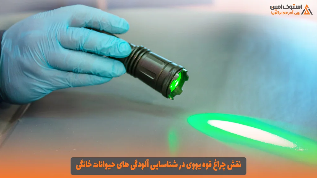 نقش چراغ قوه یووی در شناسایی آلودگی‌ های حیوانات خانگی